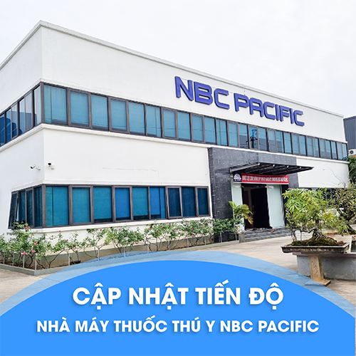 Cập nhật dự án NBC Pacific - nhà máy sản xuất thuốc thú y
