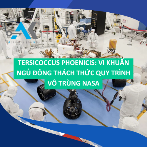Tersicoccus phoenicis: Dormant Bacteria Challenges NASA's Sterile Process
