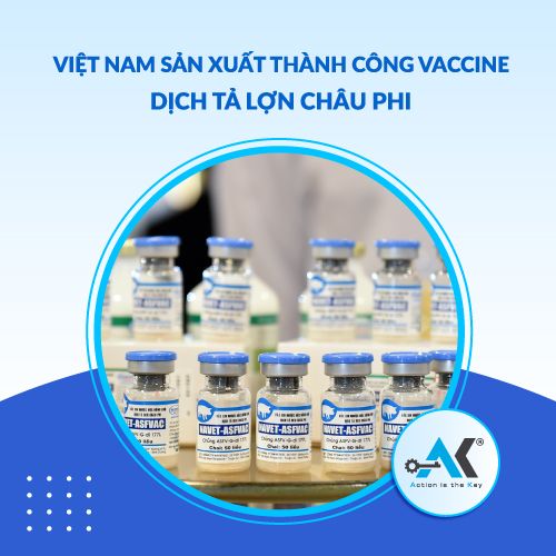 Việt Nam sản xuất thành công vaccine dịch tả lợn châu Phi