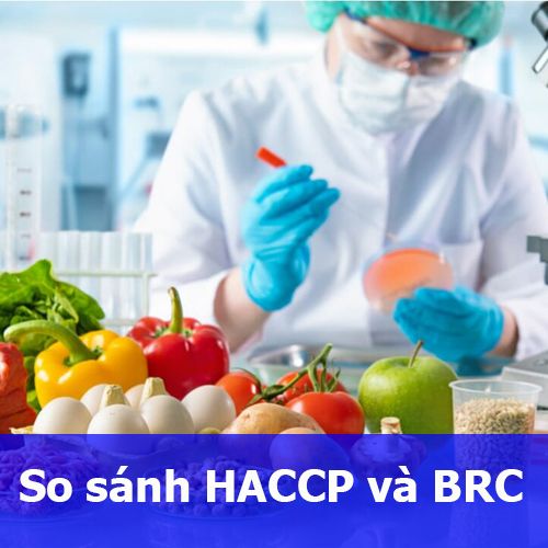 So sánh tiêu chuẩn HACCP và tiêu chuẩn BRC