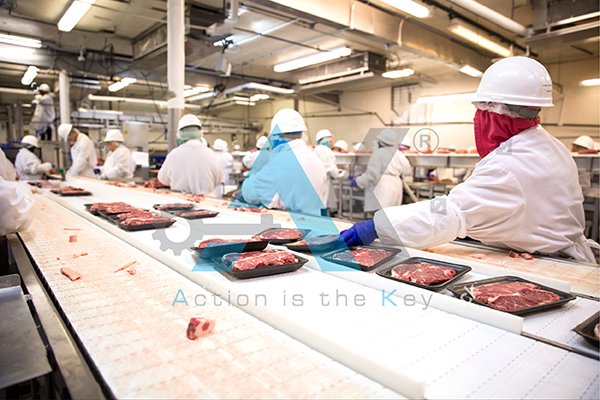 Thi công xây dựng nhà máy sản xuất chế biến thịt và đồ hộp